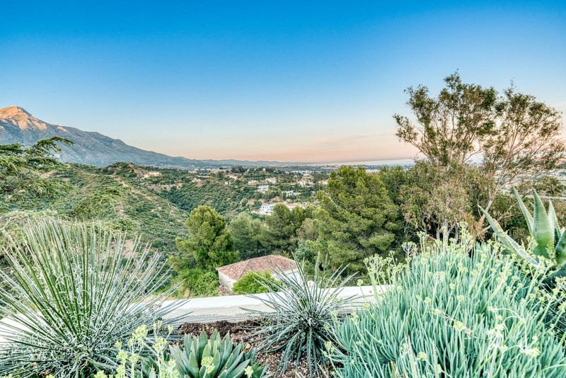 La Quinta Hills